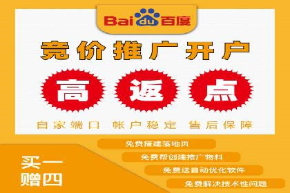 解析某某SEM服务公司如何通过数据分析优化广告效果
